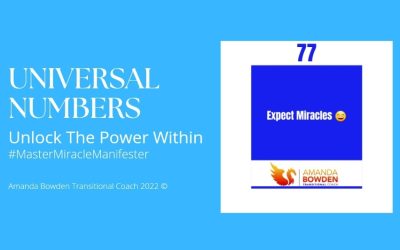 Master Miracle Manifester®